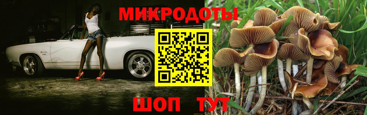 Псилоцибиновые грибы Cubensis Каменск-Уральский