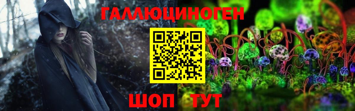 купить наркотик  Вход с VPN  Каменск-Уральский  Галлюциногенные грибы GOLDEN TEACHER 